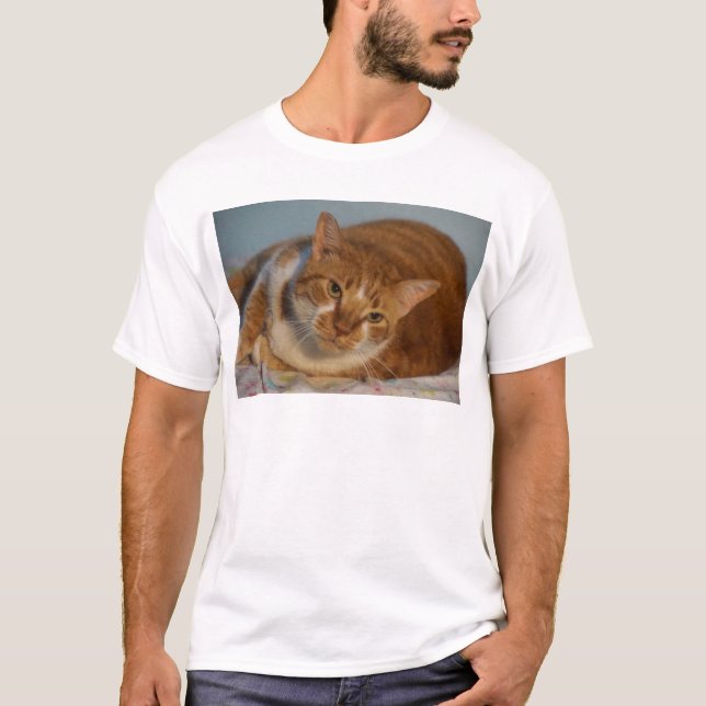 Orange u. weiße Katze T-Shirt (Vorderseite)