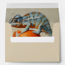 Orange - Umschlag für Kartengröße 12,7 x 17,8 cm
