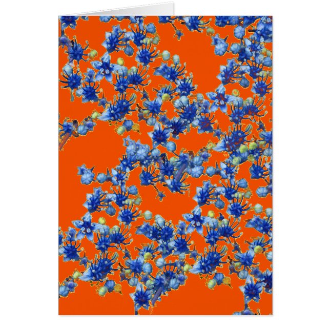 orange und blau (Vorne)