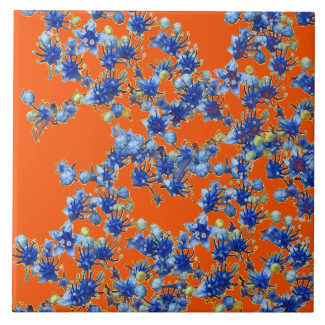 orange und blau fliese (Vorderseite)