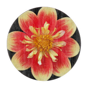 Orange und Gelb Collarette Dahlia Floral Schneidebrett