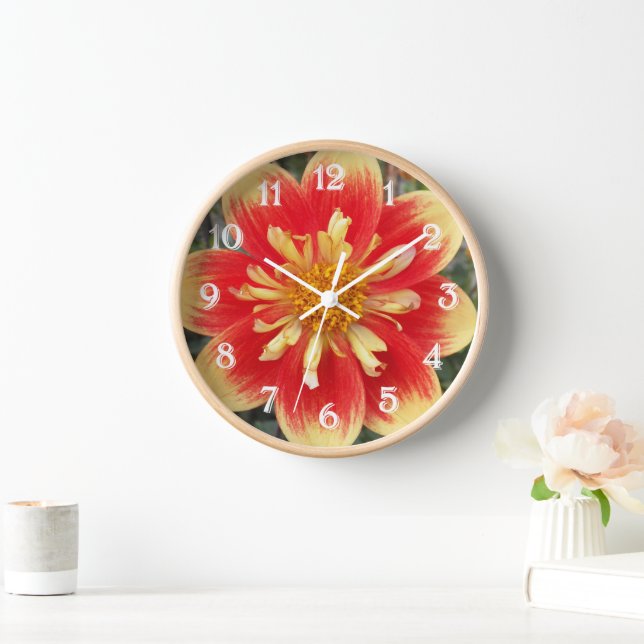 Orange und Gelb Collarette Dahlia Floral Uhr (Zuhause)