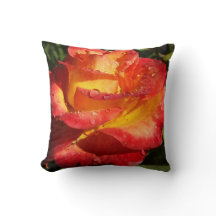 Orange und Gelb Rose