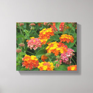 Orange- und Gelbblüten Gestrickte Canvas Printwerb Leinwanddruck