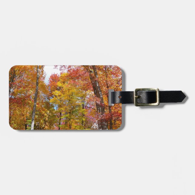 Orange- und Gelbfallbäume Herbstfotografie Gepäckanhänger (Vorderseite horizontal)