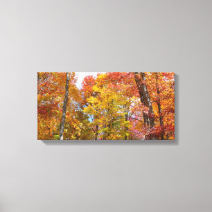 Orange- und Gelbfallbäume Herbstfotografie Leinwanddruck