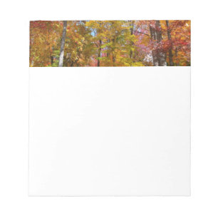 Orange- und Gelbfallbäume Herbstfotografie Notizblock
