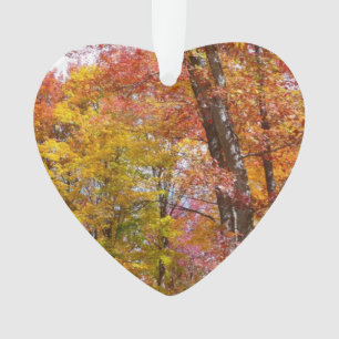 Orange- und Gelbfallbäume Herbstfotografie Ornament