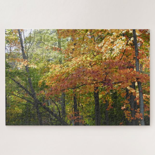 Orange- und grüne Blätter im Herbst Puzzle (Horizontal)