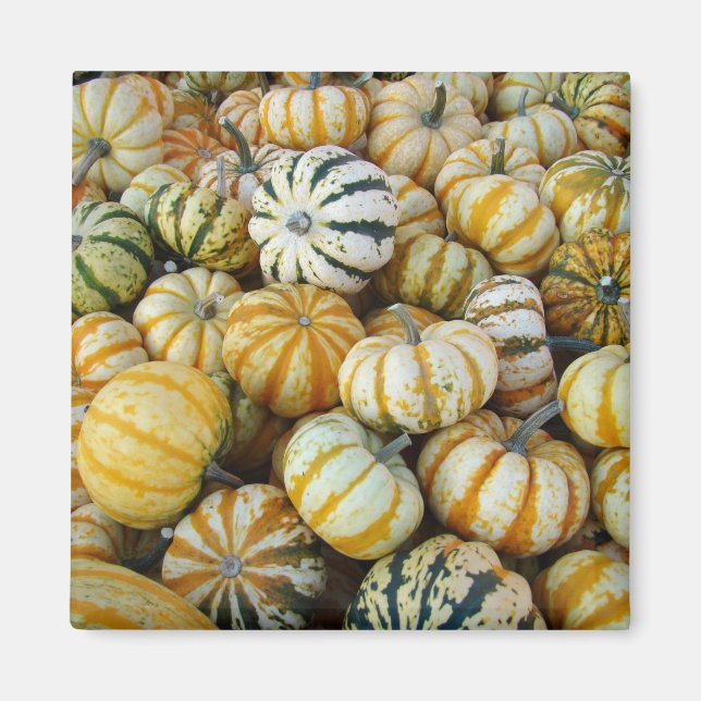 Orange und grüne Herbstgürtel Magnet (Vorne)