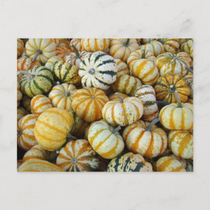 Orange und grüne Herbstgürtel Postkarte