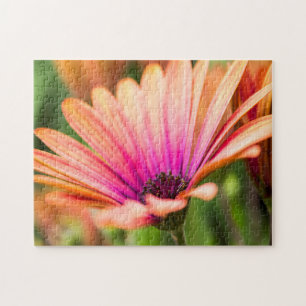 Orange und Lila Daisy Puzzle