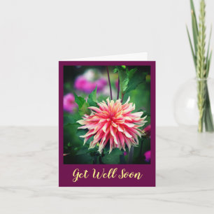 Orange und Pink Dahlia Blume bald wieder gut Karte