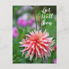 Orange und Pink Dahlia Blume bald wieder gut Postkarte