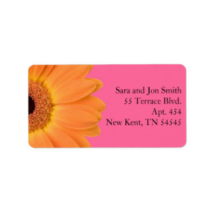Orange und Pink Gerber Daisy Address Labels Adressaufkleber