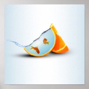 Orange und Rote Fische Poster