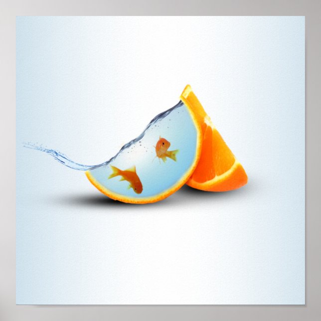 Orange und Rote Fische Poster (Vorne)