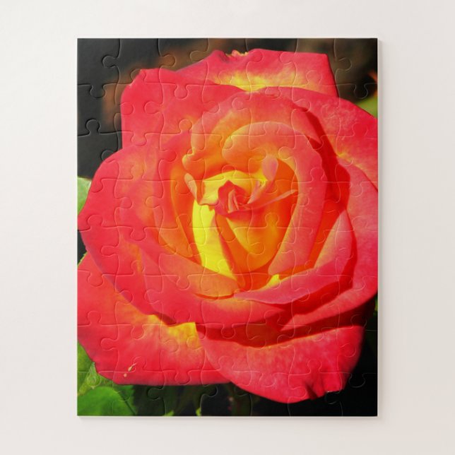 Orange und Rote Rose Nah Puzzle (Vertikal)