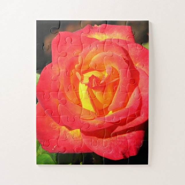 Orange und Rote Rose Nah Puzzle (Vertikal)