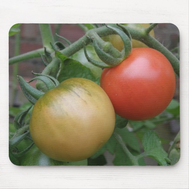 Orange und Rote Tomaten Mousepad (Vorne)
