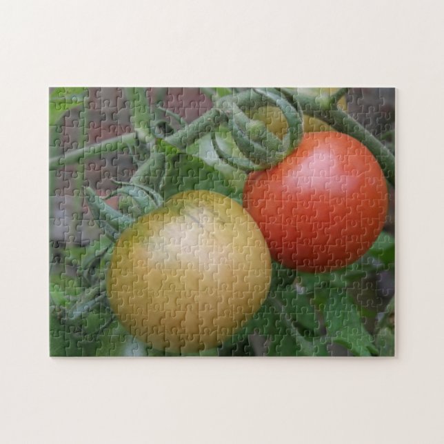 Orange und Rote Tomaten Puzzle (Horizontal)
