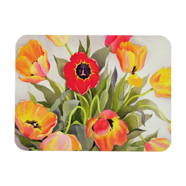Orange und Rote Tulips Magnet (Horizontal)