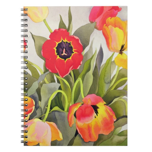 Orange und rote Tulpen Notizblock (Vorderseite)