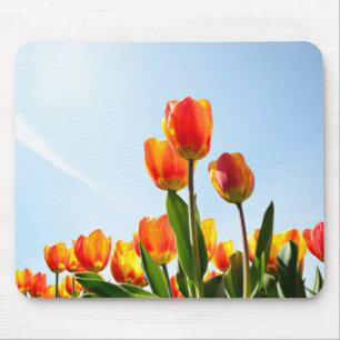 Orange und rote Tulpen von unterhalb Mousepad