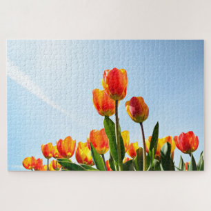 Orange und rote Tulpen von unterhalb Puzzle