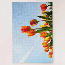 Orange und rote Tulpen von unterhalb Puzzle