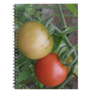 Orange- und Rotttomaten-Notebook Notizblock