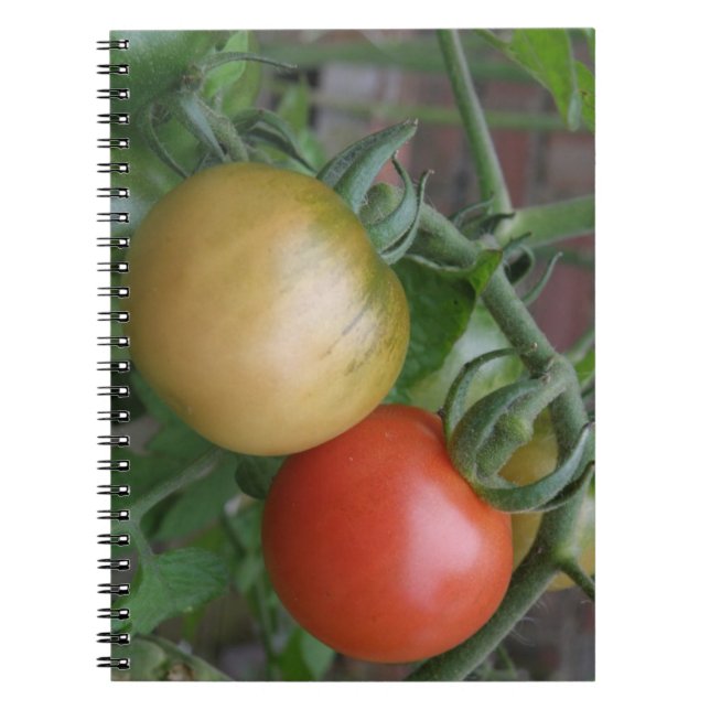 Orange- und Rotttomaten-Notebook Notizblock (Vorderseite)