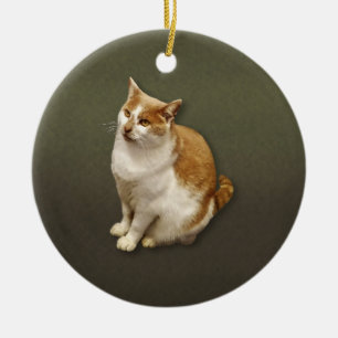 Orange und weiße Kurze Haarkatze Keramik Ornament
