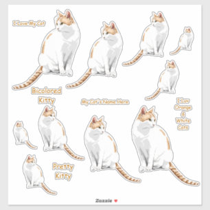 Orange und weißes Katzen-Fahrwerk-Aufkleber-Set Aufkleber