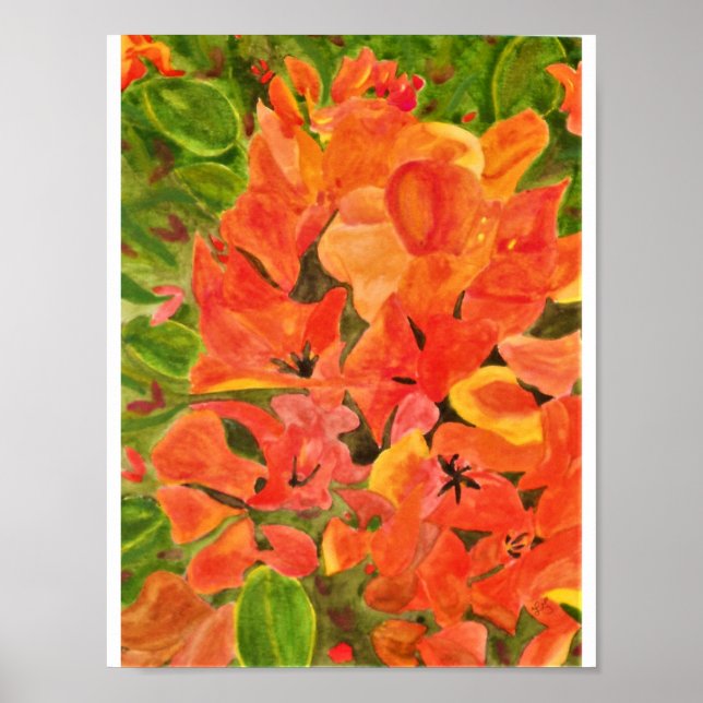 Orange und Yellow Bougainvillea Wasserfarbe Poster (Vorne)