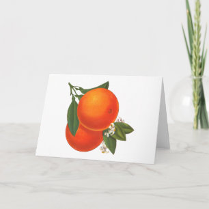 Orange Vintag Crat Blank Art Card Karte