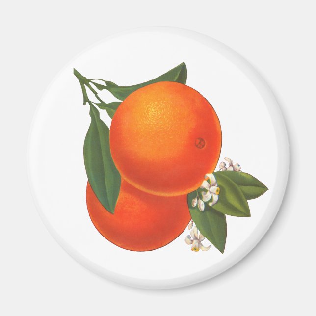 Orange Vintag Crate Art Magnet (Vorne)