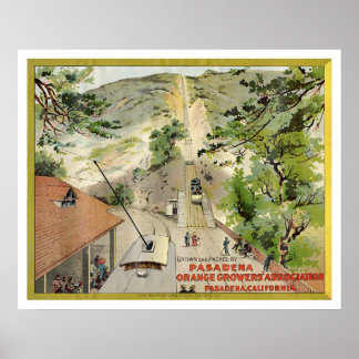 Orange Vintages Etikett Poster