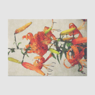Orange Wasserfarbe Tigerlilie 1 Seidenpapier