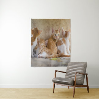 Orange-weiße Tabby-Kätzchen/Fügen Sie das Foto Ihr Wandteppich