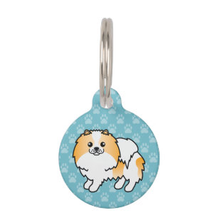 Orange-weißer Pomeranian-Hund und Infos zum Hausti Tiernamensmarke