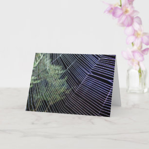 Orange Wheelweaving Spider Web Karte