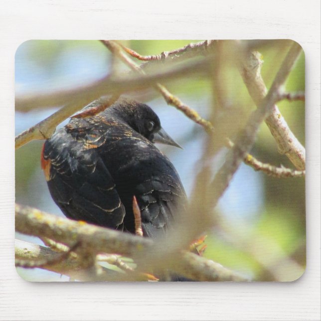Orange Winged Black Bird Mousepad (Vorne)