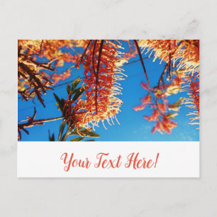 Orange Yellow Flowers Tree Sky Postcard Postkarte
