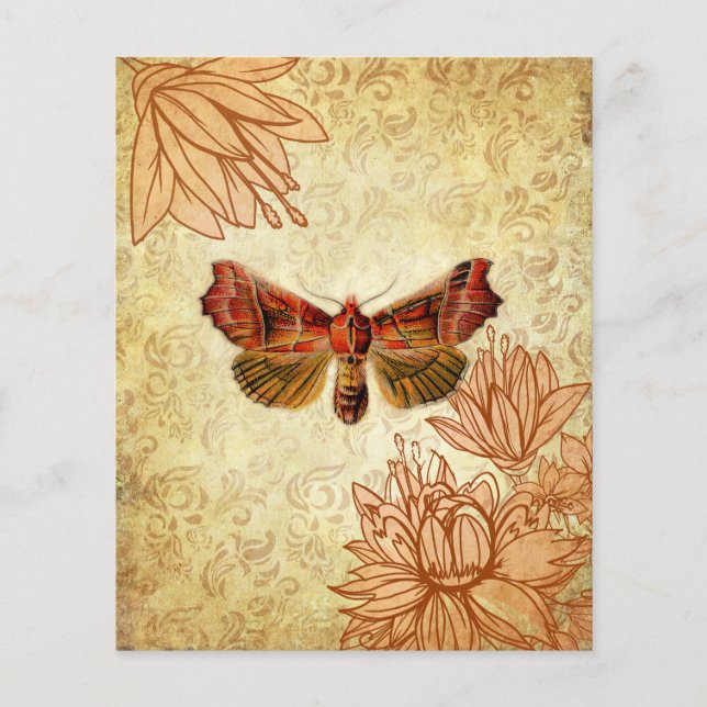 Orange & Yellow Vintag Moth Scrapbook Paper (Vorderseite)