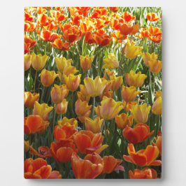 Orange-&-Yelow-Tulips.jpg Fotoplatte