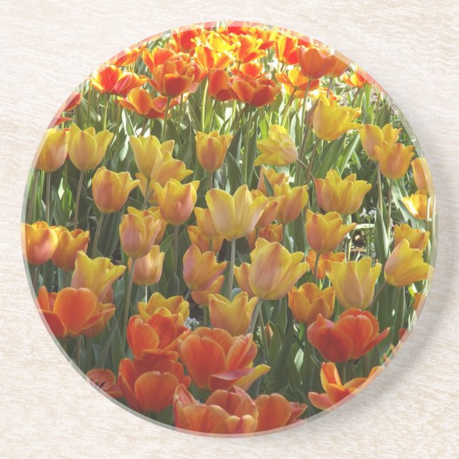 Orange-&-Yelow-Tulips.jpg Getränkeuntersetzer (Vorne)