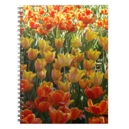 Orange-&-Yelow-Tulips.jpg Notizblock