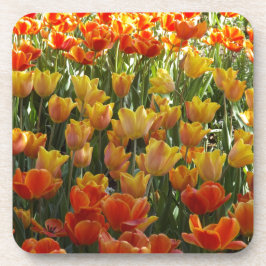 Orange-&-Yelow-Tulips.jpg Untersetzer