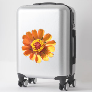 Orange Zinnia Blume nah-up Aufkleber